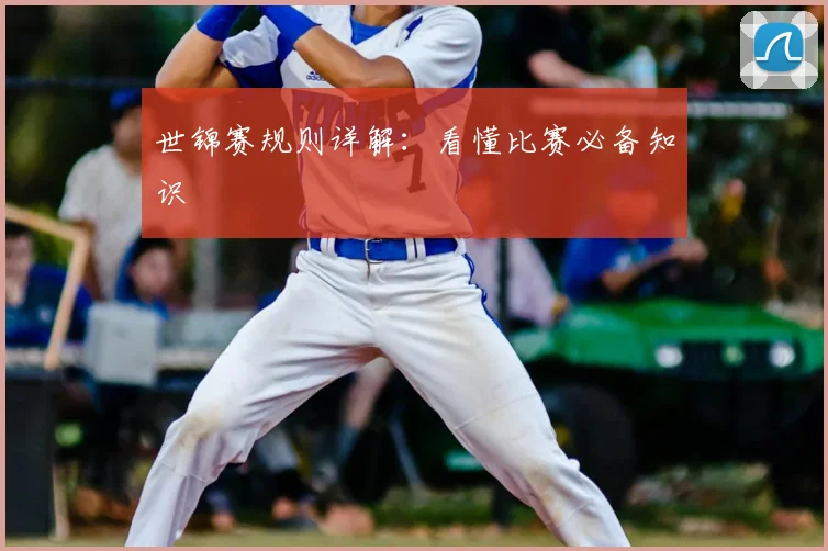 世锦赛规则详解：看懂比赛必备知识