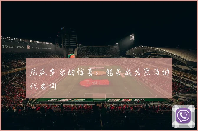 厄瓜多尔的惊喜,能否成为黑马的代名词