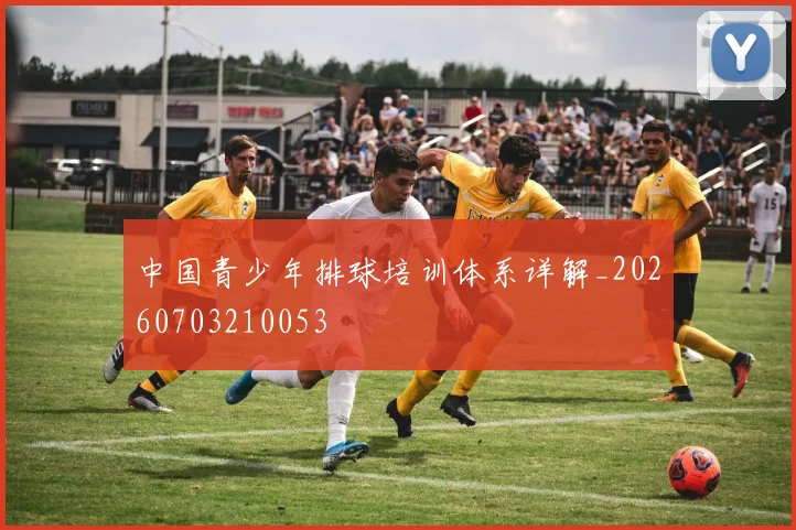 中国青少年排球培训体系详解_20260703210053